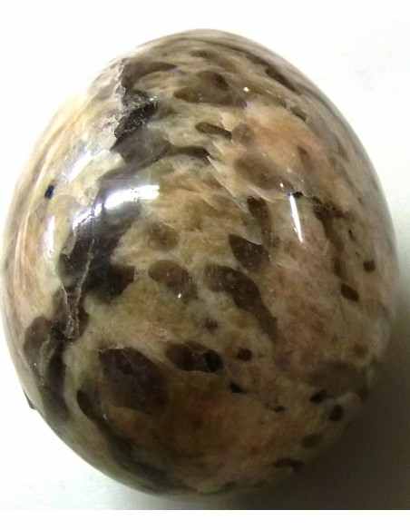 Oeuf en corail fossilisé 46mm Oeuf en corail fossilisé 46mm