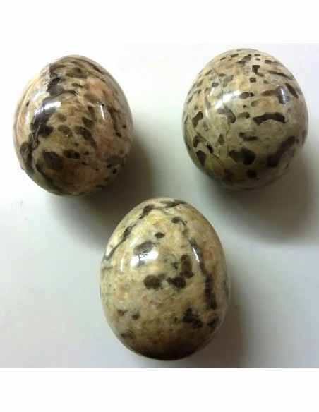 Oeuf en corail fossilisé 46mm Oeuf en corail fossilisé 46mm