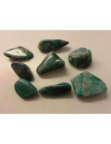 Quatro quantum polis