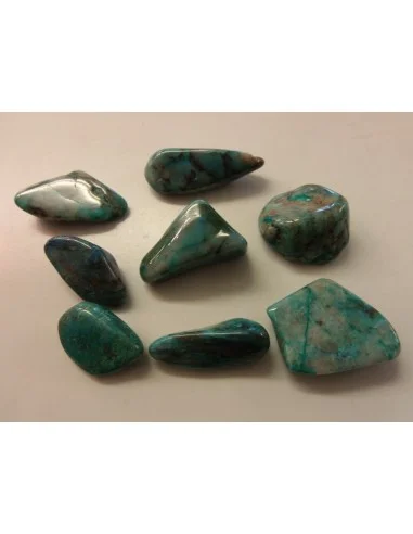 Quatro quantum polis