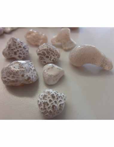 Agate peau de serpent  5 a 9g