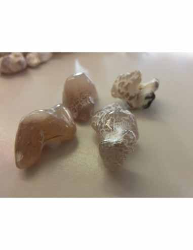 Agate peau de serpent  5 a 9g