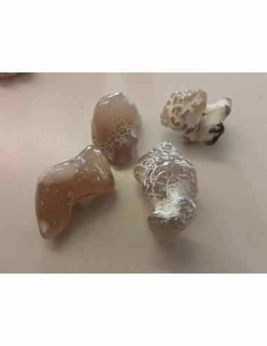 Agate peau de serpent  5 a 9g