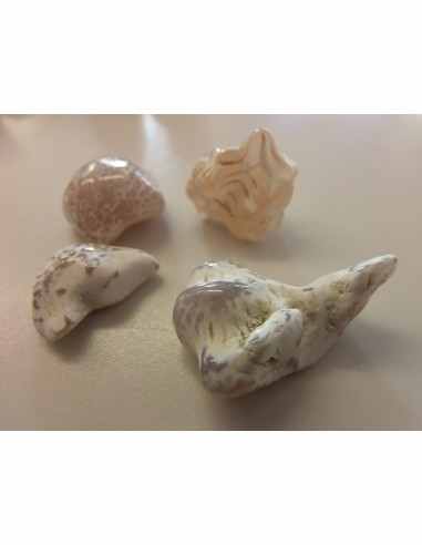 Agate peau de serpent  5 a 9g