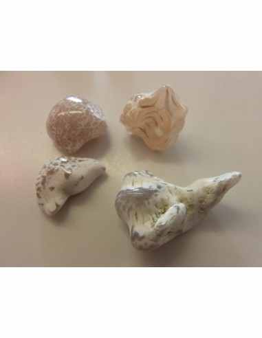 Agate peau de serpent  5 a 9g