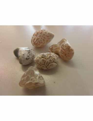 Agate peau de serpent  5 a 9g