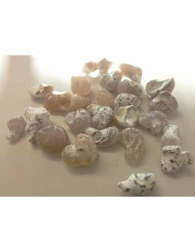 Agate peau de serpent  5 a 9g