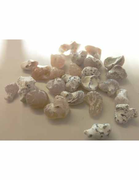 Agate peau de serpent  5 a 9g