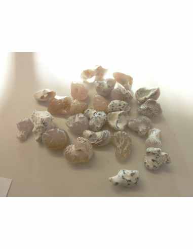 Agate peau de serpent  5 a 9g