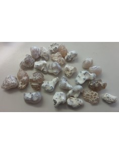 Agate peau de serpent  5 a 9g
