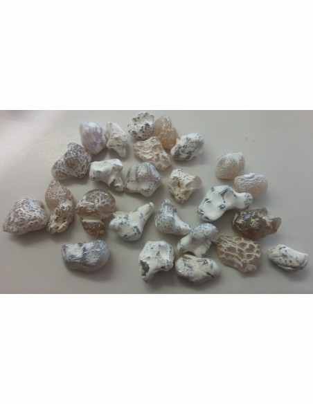 Agate peau de serpent  5 a 9g
