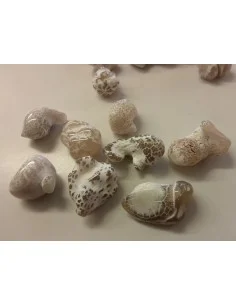 Agate peau de serpent brute 2