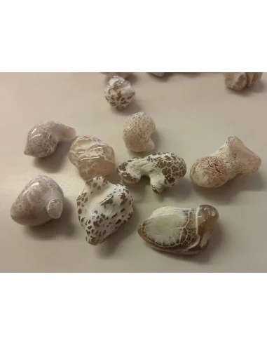 Agate peau de serpent brute