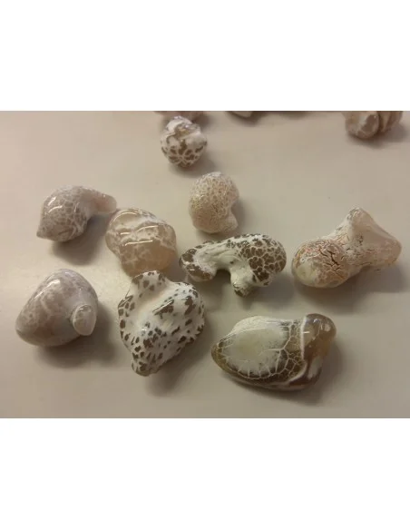 Agate peau de serpent brute