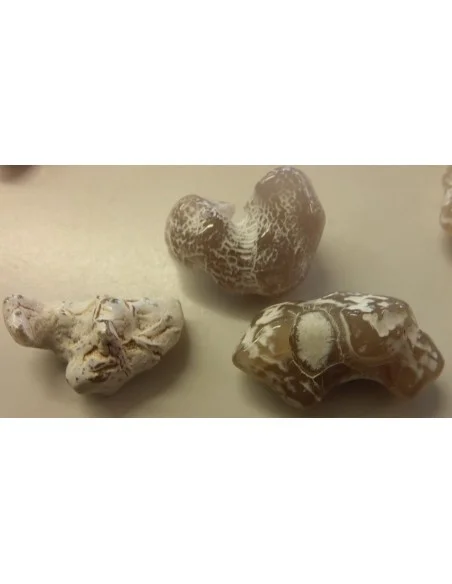 Agate peau de serpent brute