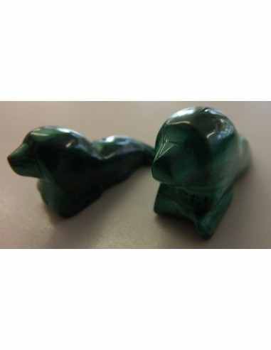 Lion marin otarie malachite
