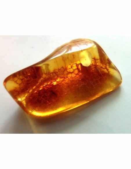 Ambre percee