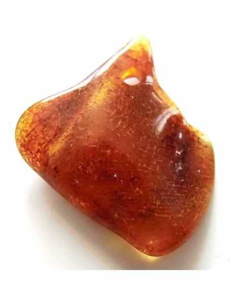 Ambre percee
