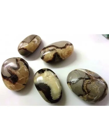 Septarian galet