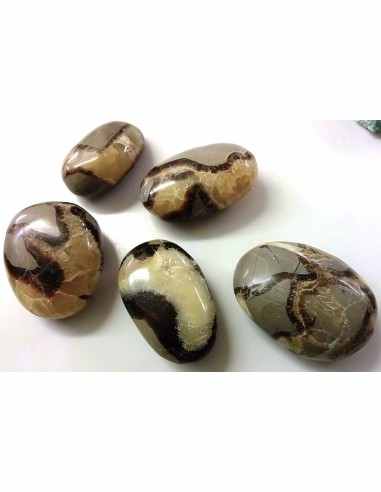 Septarian galet