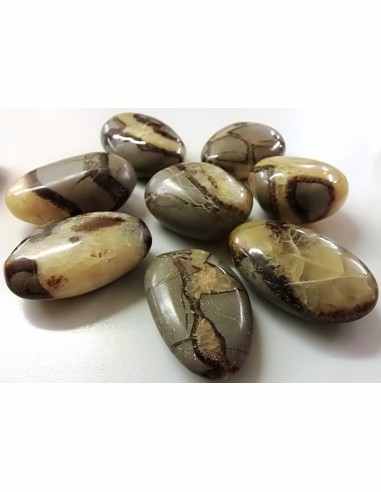 Septarian galet