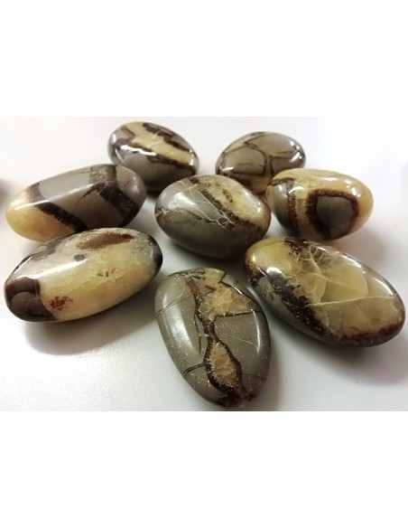 Septarian galet
