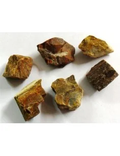 Bois fossilisé minéral
