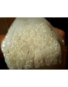 Quartz  bogie sceptre géode 2