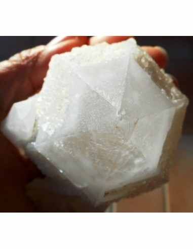 Quartz  bogie sceptre géode