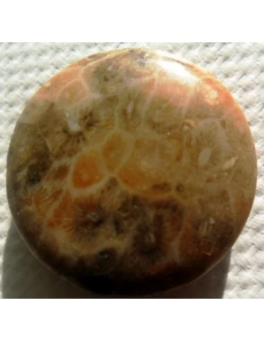 Corail fossilisé pierre percé