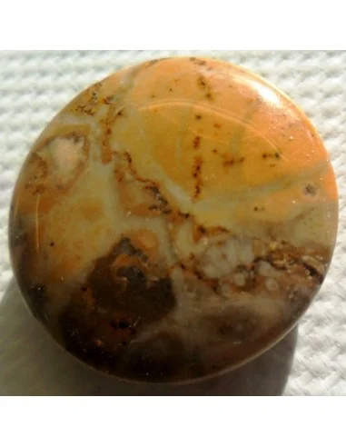 Corail fossilisé pierre percé