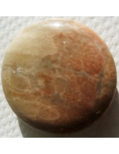 Corail fossilisé pierre percé