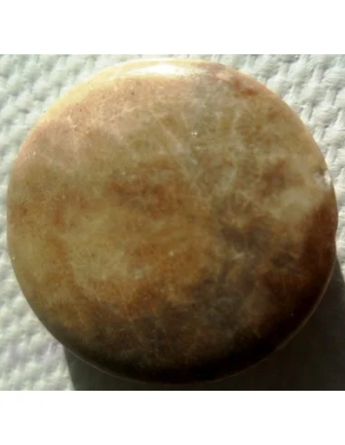 Corail fossilisé pierre percé