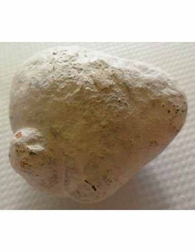 Albacete, pierre des fées, opale menilite