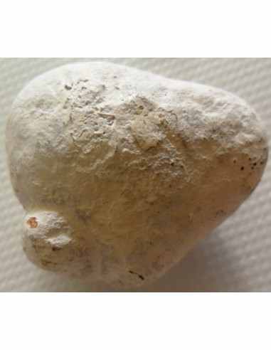 Albacete, pierre des fées, opale menilite