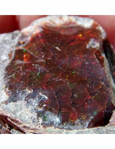 Opale noble rouge Opale noble rouge