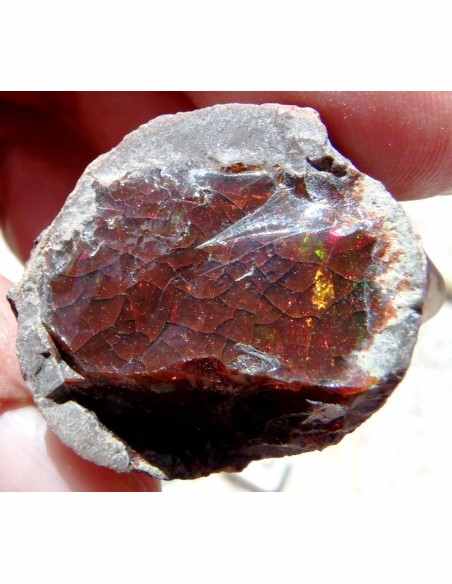 Opale noble rouge Opale noble rouge