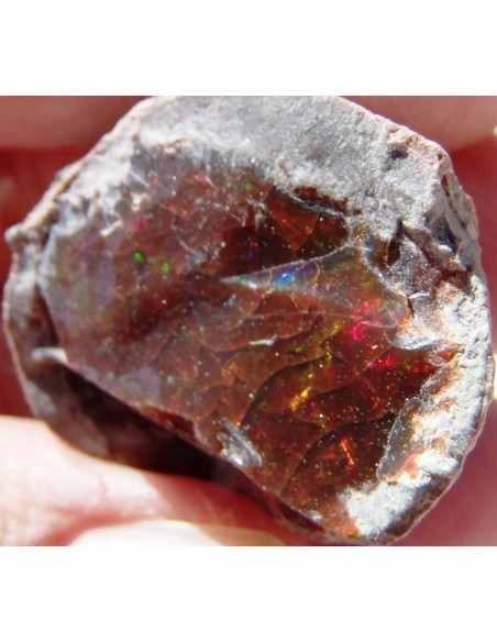 Opale noble rouge Opale noble rouge