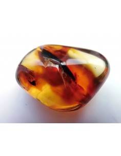 Morceau Ambre  32mm