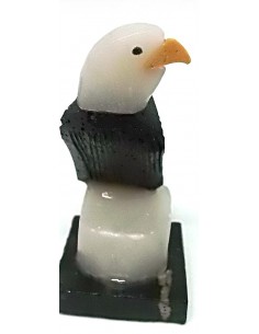 Aigle onyx noire