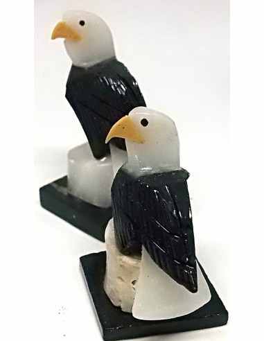 Aigle onyx noire