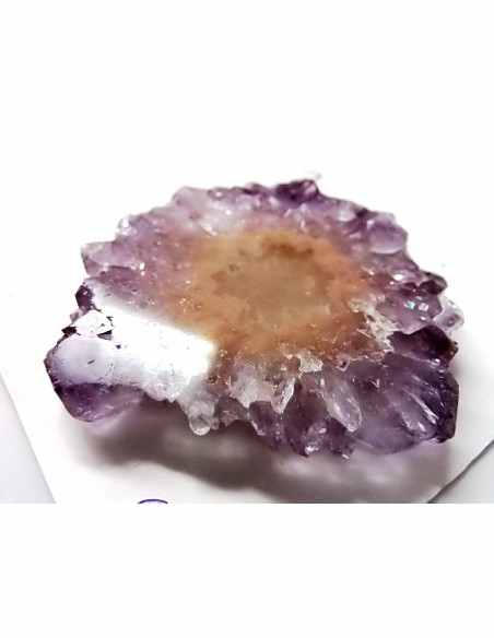 Ametrine cactus tranche