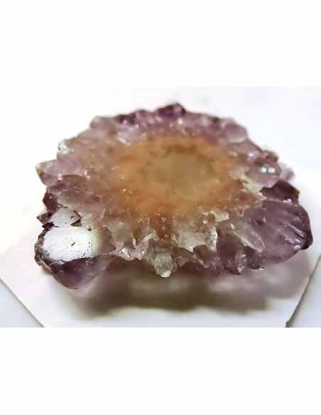 Ametrine cactus tranche