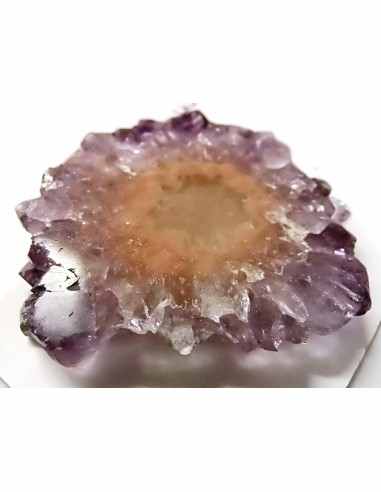 Ametrine cactus tranche