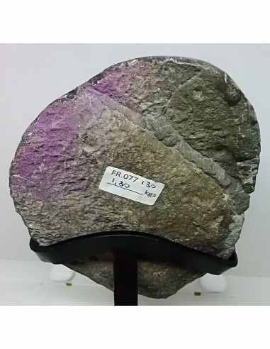 Magnifique géode amethyste