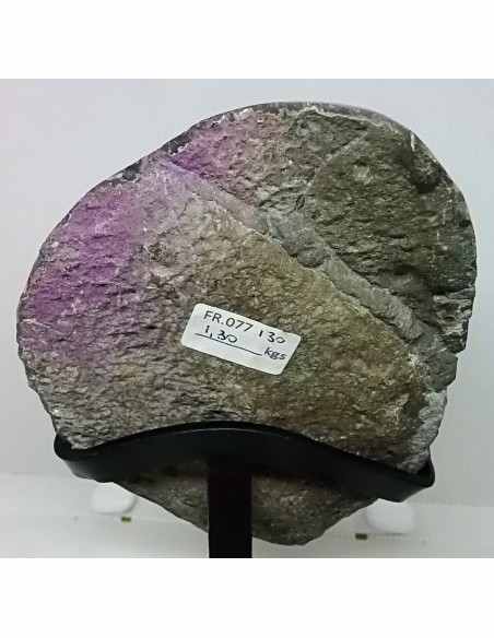 Magnifique géode amethyste