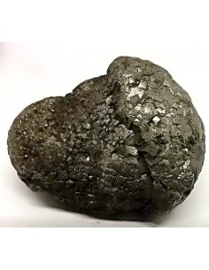 Pinas sceptre, pinas royale