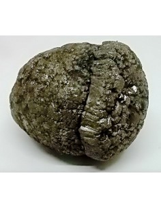 Pinas sceptre, pinas royale 2