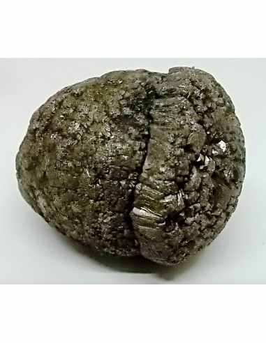 Pinas sceptre, pinas royale