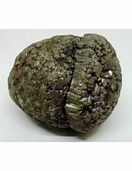 Pinas sceptre, pinas royale